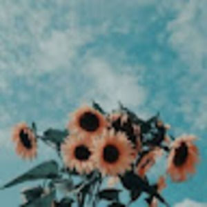 Meet your Posher, Ella